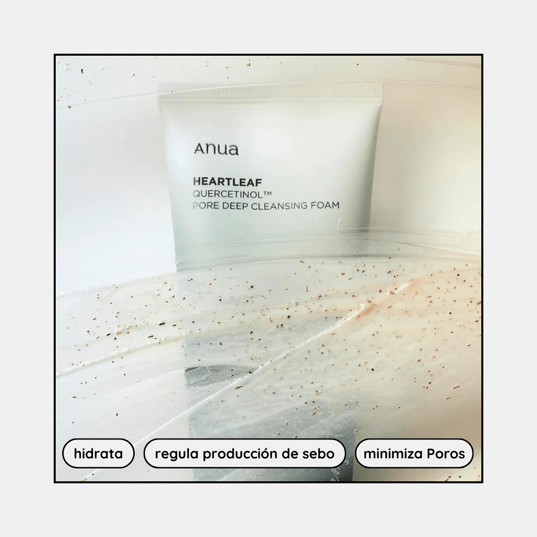 Heartleaf Quercetinol Pore Deep Cleansing Foam